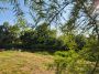Wasserwandern (2)